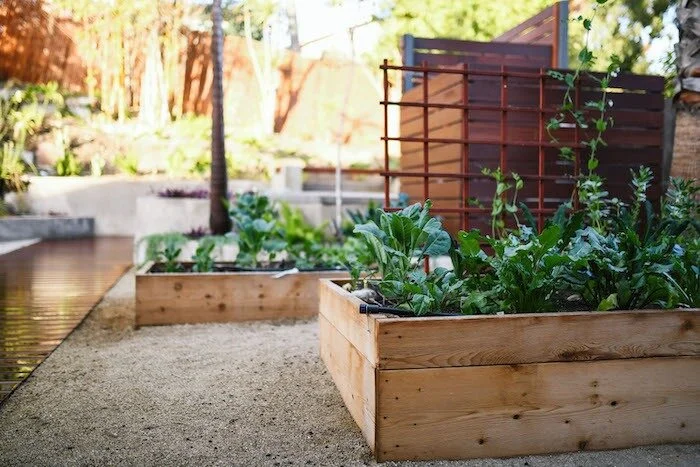 Herb Gardening For Beginners - Complete Guide — Deep Rooted Design